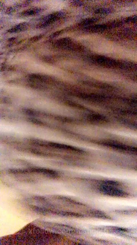 viral Follow me upstairs Starring leahgotti 8500e6 tiktok porn